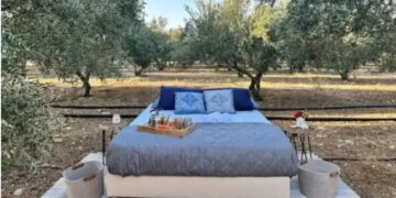 Νοικιάζουν κρεβάτι μέσα στις… ελιές από 106 έως 126 ευρώ το βράδυ – Οι δραστηριότητες και οι τιμές τους