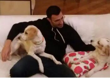 Θλίψη στον δημοσιογραφικό κόσμο: Έφυγε από τη ζωή ένας υπέροχος άνθρωπος που είχε αφιερώσει τη ζωή του στα αδέσποτα