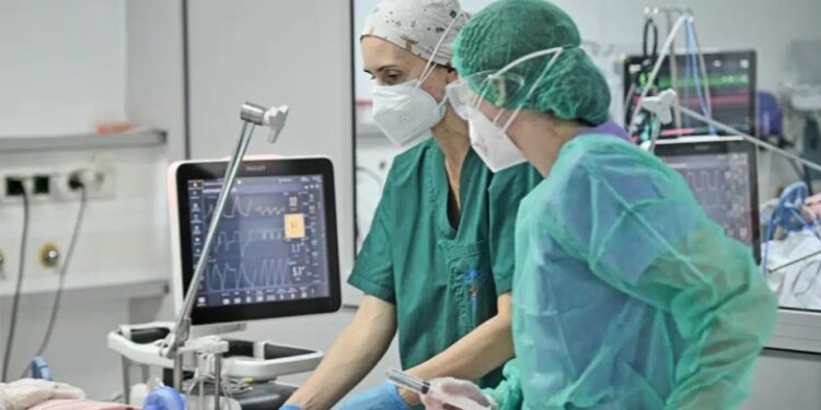 Alldaynews.gr Δύο ανακοπές υπέστη η 18χρονη που κατέρρευσε σε γυμναστήριο – Χειρουργήθηκε στο κεφάλι – Ποια η κατάστασή της