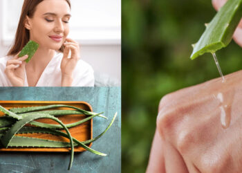 Αλόη: Τα οφέλη και οι παγίδες του φυτού της αθανασίας