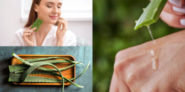 Alldaynews.gr Αλόη: Τα οφέλη και οι παγίδες του φυτού της αθανασίας