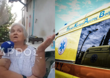 Alldaynews.gr «Τούς έσφαξα, εδώ είναι και οι δυο στα αίματα», είπε ο άνδρας που σκότωσε με ψαλίδι τους γονείς του