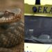Οχιά δάγκωσε 40χρονο ενώ εργαζόταν σε χωράφι – Νοσηλεύεται στην εντατική