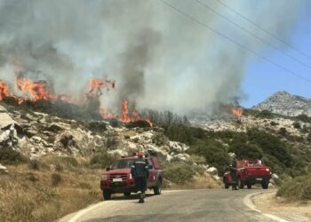Φουντώνει η φωτιά στο νησί: Μεταβαίνουν πυροσβέστες από Πειραιά και γύρω νησιά