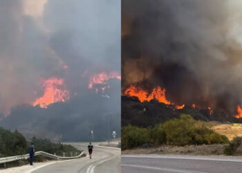 Μέσα στα σπίτια η φωτιά στην Παλαιά Φώκαια – 112 για εκκενώσεις στο Θυμάρι και τον όρμο Καταφυγή