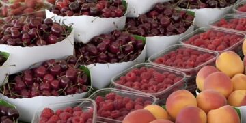 Alldaynews.gr Ελληνικό διάσημο φρούτο γεμάτο φυτοφάρμακα – Ξεπέρασε το όριο κατά τα 5.530%(!) Μας «κάpφωσε» στην ΕΕ η Βουλγαρία