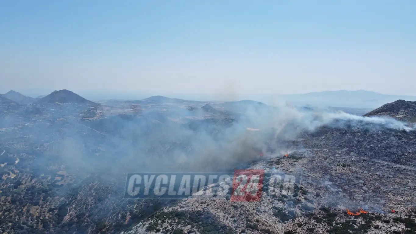 καταγγέλοντες
