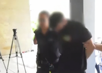 Κακουργηματική δίωξη στον 34χρονο που κλώτσησε και πάτησε γατάκι με το αυτοκίνητό του