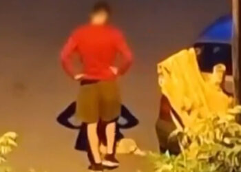 Θεσσαλονίκη: Κακουργηματική δίωξη στον 34χρονο που κλώτσησε και πάτησε με το ΙΧ γατάκι