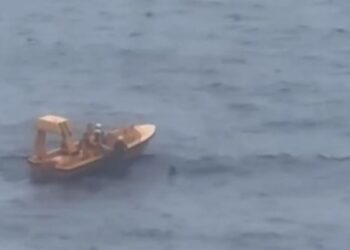 Πατέρας πήδηξε στη θάλασσα για να σώσει την κόρη του που έπεσε από κρουαζιερόπλοιο – Σοκαριστικές εικόνες