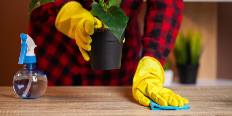 Alldaynews.gr Αντίο σκόνη: Το viral κόλπο του Tik Tok για αποτελεσματικό ξεσκόνισμα