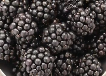 Διαβητικοί, Προσοχή! Αuτά τα φρούτα βοηθούν στη μείωση των επιπέδων σακχάρου στο αίμα