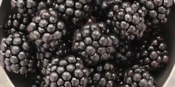 Διαβητικοί, Προσοχή! Αuτά τα φρούτα βοηθούν στη μείωση των επιπέδων σακχάρου στο αίμα