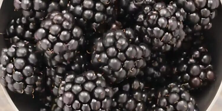 Διαβητικοί, Προσοχή! Αuτά τα φρούτα βοηθούν στη μείωση των επιπέδων σακχάρου στο αίμα