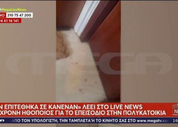 Alldaynews.gr 40χρονη ηθοποιός σε κατάσταση αμόκ επιτέθηκε με κατσαβίδι σε έγκυο και τον αρραβωνιαστικό της