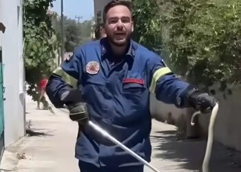 Viral πυροσβέστης πιάνει φίδι με σκούπα και ζητάει ένα «τσβαλ» να το βάλει μέσα