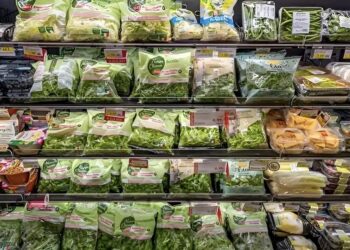 Καταναλώνεις έτοιμες σαλάτες; Μάθε για τον κίνδυνο Τοξοπλάσμωσης – Τι έδειξε πανευρωπαϊκή μελέτη