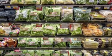 Alldaynews.gr Καταναλώνεις έτοιμες σαλάτες; Μάθε για τον κίνδυνο Τοξοπλάσμωσης – Τι έδειξε πανευρωπαϊκή μελέτη