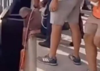 «Πού είναι το μωρό μου;»: Μητέρα ουρλιάζει όταν το μωρό της πέφτει πέφτει σε κενό στο λιμάνι