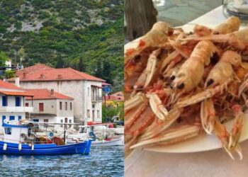 Κρυμμένος παράδεισος, χωρίς… τουρίστες: Το νησάκι που τρως ψαράκι, πίνεις και κοιμάσαι με 15 ευρώ την ημέρα