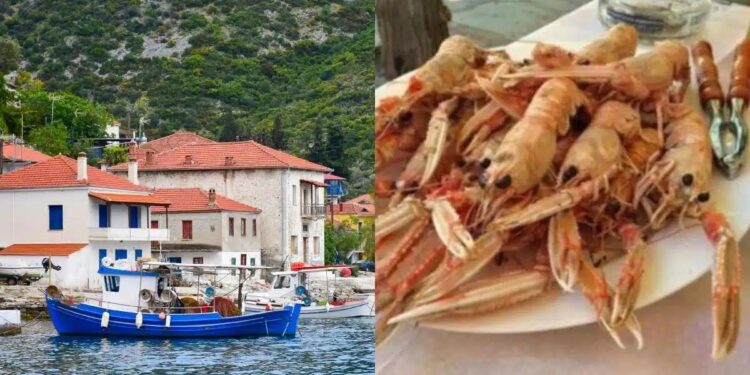 Alldaynews.gr Κρυμμένος παράδεισος, χωρίς… τουρίστες: Το νησάκι που τρως ψαράκι, πίνεις και κοιμάσαι με 15 ευρώ την ημέρα