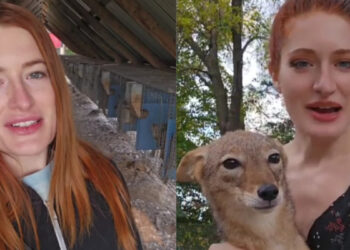 Αυτοκτόνησε γνωστή φιλόζωη λόγω bullying που δεχόταν από ανταγωνιστές στο Instagram – Το σπαρακτικό μήνυμα στην κάμερα, του συζύγου της