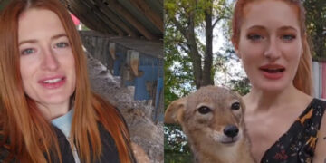 Alldaynews.gr Αυτοκτόνησε γνωστή φιλόζωη λόγω bullying που δεχόταν από ανταγωνιστές στο Instagram – Το σπαρακτικό μήνυμα στην κάμερα, του συζύγου της