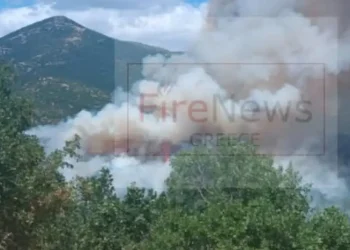 Alldaynews.gr ΕΚΤΑΚΤΟ: Εκκενώθηκε καταφύγιο με 55 παιδιά λόγω της μεγάλης φωτιάς σε δάσος στη Σκάλα