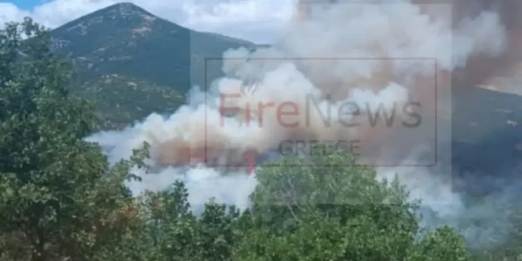 Alldaynews.gr ΕΚΤΑΚΤΟ: Εκκενώθηκε καταφύγιο με 55 παιδιά λόγω της μεγάλης φωτιάς σε δάσος στη Σκάλα