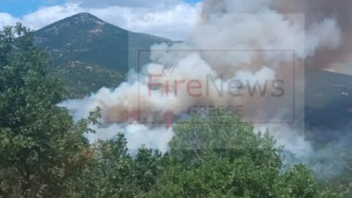 Alldaynews.gr Μαρία Καρυστιανού