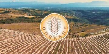 Alldaynews.gr Σύζυγος πρώην αντιπροέδρου του ΟΠΕΚΕΠΕ έπαιρνε 120.000 ευρώ ετησίως για ελιές μέσα στο… αεροδρόμιο Ελευσίνας