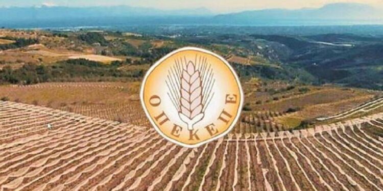 Alldaynews.gr Σύζυγος πρώην αντιπροέδρου του ΟΠΕΚΕΠΕ έπαιρνε 120.000 ευρώ ετησίως για ελιές μέσα στο… αεροδρόμιο Ελευσίνας