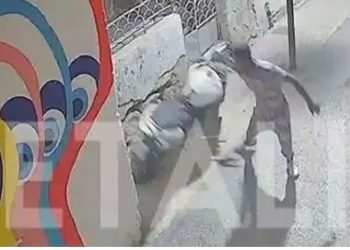 Απίστευτες σκηνές στο Ηράκλειο: Πακιστανός αναποδογύρισε μηχανή, κλωτσούσε και έβριζε