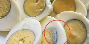 Alldaynews.gr Γιατί εμφανίζεται ένα πράσινο δαχτυλίδι γύρω από βρασμένα αυγά;