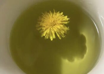 Βάνα Ραμπότα: Η Ειρήνη του «50 – 50» εγκατέλειψε την ΤV και την Αθήνα και έγινε δασκάλα σε χωριό