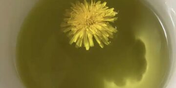 Alldaynews.gr Βάνα Ραμπότα: Η Ειρήνη του «50 – 50» εγκατέλειψε την ΤV και την Αθήνα και έγινε δασκάλα σε χωριό