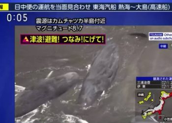 Εικόνες αποκάλυψης μετά τα 8,8 Ρίχτερ: Φάλαινες ξεβράστηκαν στις ακτές της Ιαπωνίας μετά το τσουνάμι