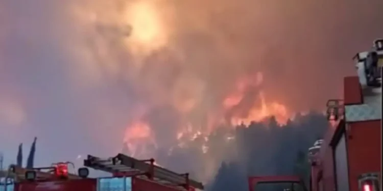 Alldaynews.gr ΕΚΤΑΚΤΟ – Ανεξέλεγκτη η φωτιά: Στις φλόγες ο Φενεός, μηνύματα εκκένωσης από το 112 για Καστανιά και Λαύκα, Καρτέρι και Δροσοπηγή