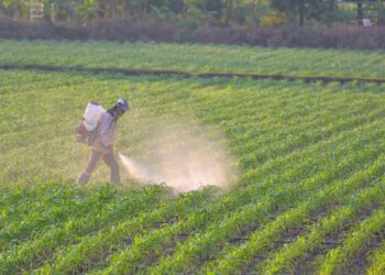 Alldaynews.gr Reuters: Τα «απαγορευμένα» φυτοφάρμακα αυξάνονται – Πώς παράνομα κινεζικά προϊόντα φτάνουν στη Θεσσαλία μέσω Βουλγαρίας και Τουρκίας