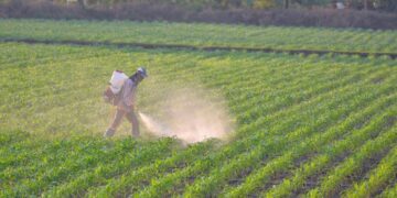 Reuters: Τα «απαγορευμένα» φυτοφάρμακα αυξάνονται – Πώς παράνομα κινεζικά προϊόντα φτάνουν στη Θεσσαλία μέσω Βουλγαρίας και Τουρκίας