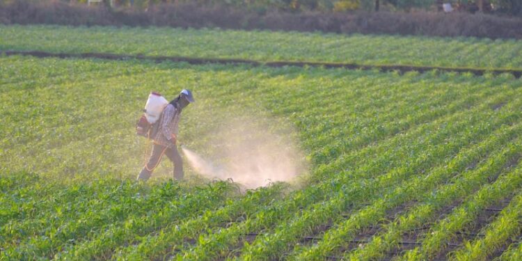 Reuters: Τα «απαγορευμένα» φυτοφάρμακα αυξάνονται – Πώς παράνομα κινεζικά προϊόντα φτάνουν στη Θεσσαλία μέσω Βουλγαρίας και Τουρκίας