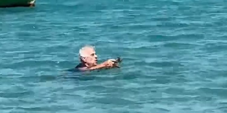 Alldaynews.gr Γάλλος τουρίστας βούτηξε στη θάλασσα για να σώσει γατάκι που πνιγόταν – Δείτε βίντεο