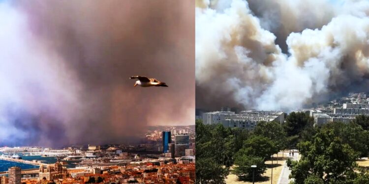 Alldaynews.gr Συγκλονιστικές εικόνες από την τεράστια πυρκαγιά στη Μασσαλία: Έφτασαν στα περίχωρα οι φλόγες, απαγόρευση κυκλοφορίας στους δρόμους