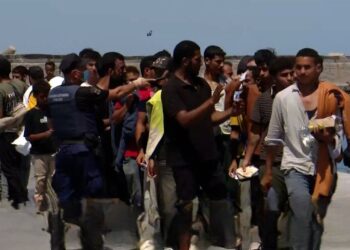 Alldaynews.gr Θάνος Πλεύρης: «Φυλακές ή έξοδος από τη χώρα, ο μόνος δρόμος για τους λαθρομετανάστες»