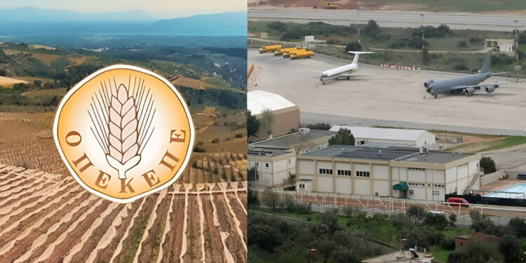 Σύζυγος πρώην αντιπροέδρου του ΟΠΕΚΕΠΕ έπαιρνε 120.000 ευρώ ετησίως για ελιές μέσα στο… αεροδρόμιο Ελευσίνας