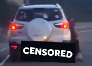 Έκαψαν το σπίτι άνδρα που βιντεοσκοπήθηκε να σέρνει τον σκύλο του με το αυτοκίνητο μέχρι θανάτου