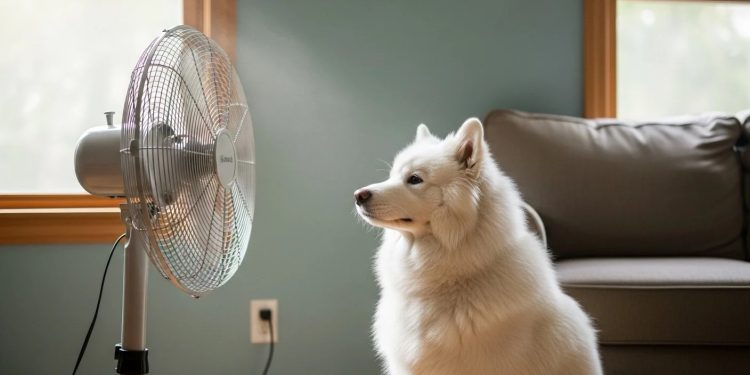 Κτηνίατροι προειδοποιούν: Αν δεις αυτά τα σημάδια κατά τον καύσωνα, Το κατοικίδιο σου κινδυνεύει!