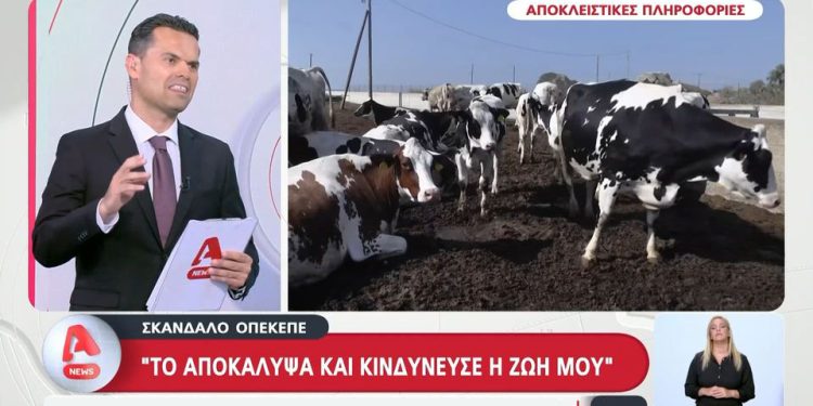 Αποκάλυψε το σκάνδαλο του ΟΠΕΚΕΠΕ και τον έστειλαν στο πειθαρχικό!