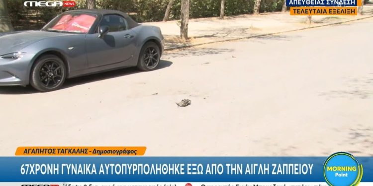 Alldaynews.gr «Δεν είχα ούτε να φάω»: Τι είπε η 67χρονη γυναίκα πριν αυτοπυρποληθεί μπροστά από την Αίγλη Ζαππείου
