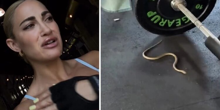 Alldaynews.gr Ιωάννα Τούνη: Φίδι έπεσε από την οροφή γυμναστηρίου και προσγειώθηκε δίπλα της – «Δεν ξαναέρχομαι»